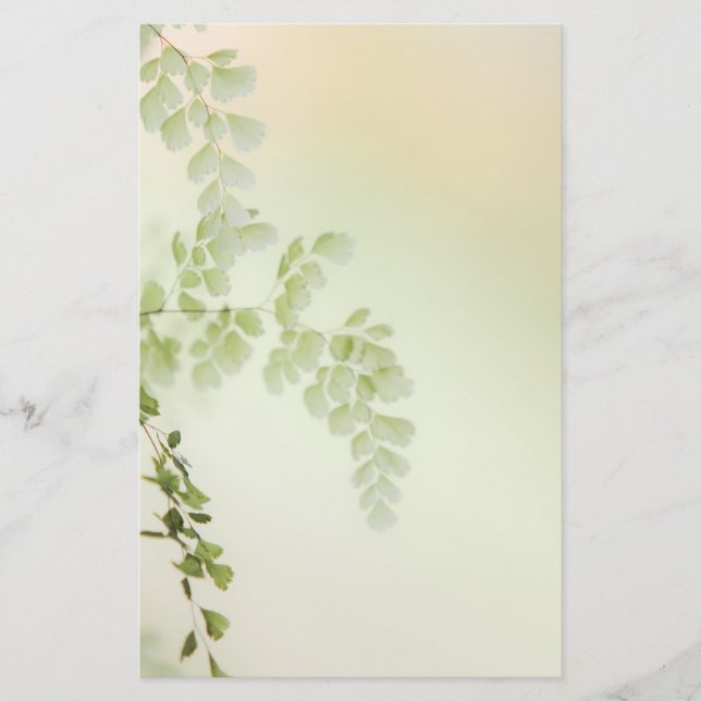 Spring Foliage Stationery (Front)