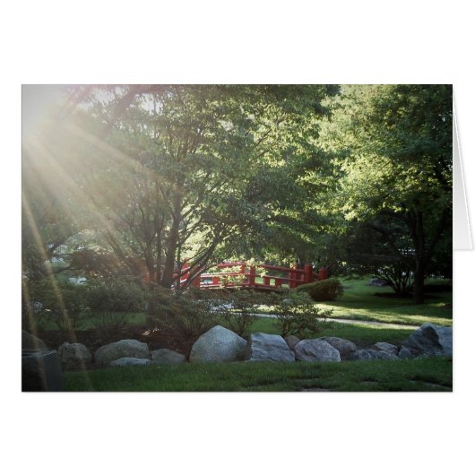 Spring Garden Cards (Front Horizontal)