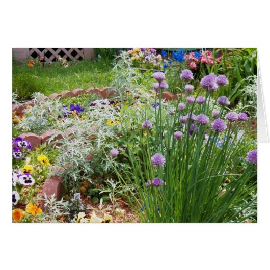 Spring Garden Cards (Front Horizontal)