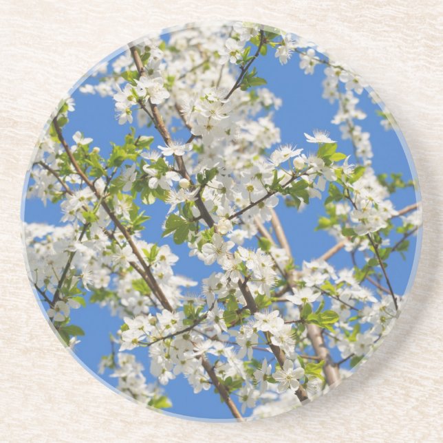 spring garden drink coaster (Front)