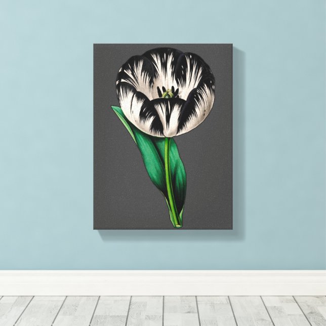 Spring Garden Tulip Flowers  Canvas Print (Insitu(Wood Floor))