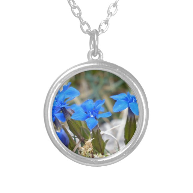 Spring Gentian Flowers Silver Plated Necklace (Front)