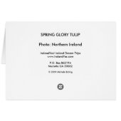 Spring Glory Tulip Card (Back Horizontal)