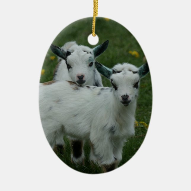 SPRING GOAT BABIES - CHRISTMAS ORNAMENTS (Front)