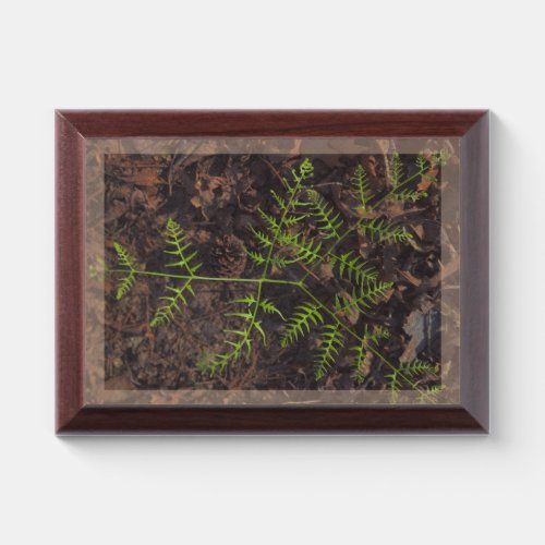 spring green  award plaque