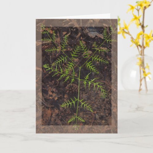 spring green  card
