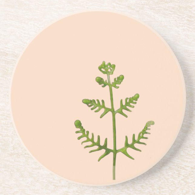 spring green  coaster (Front)