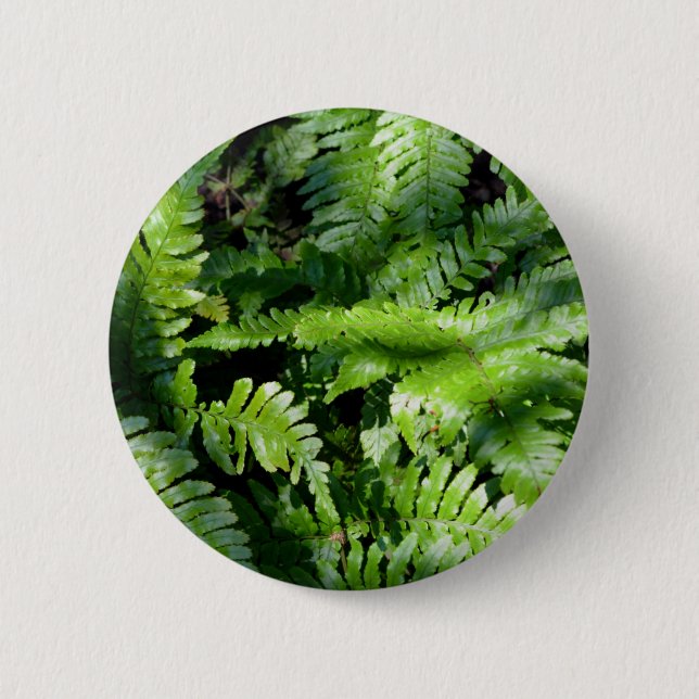Spring Green Ferns boho botanical  Button (Front)