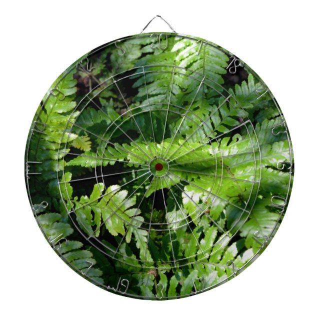 Spring Green Ferns botanical photo Dart Board (Front)