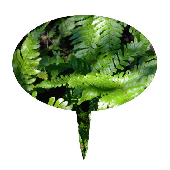 Spring Green Ferns Cake Topper (Front)