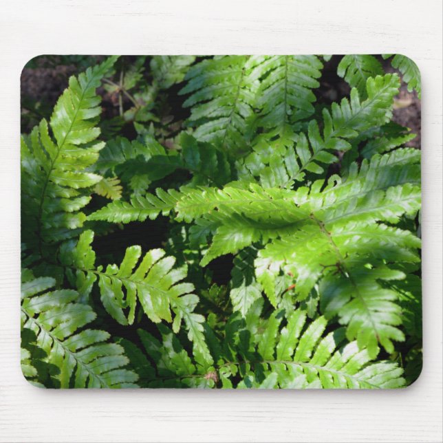 Spring Green Ferns Mouse Pad (Front)