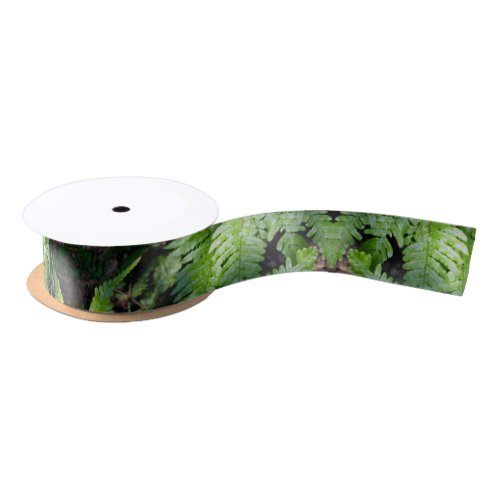 Spring Green Ferns Satin Ribbon