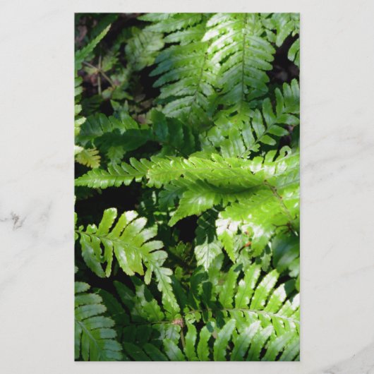 Spring Green Ferns tropical botanical greenery (Front)