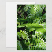 Spring Green Ferns tropical botanical greenery (Front/Back)