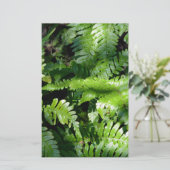 Spring Green Ferns tropical botanical greenery (Standing Front)