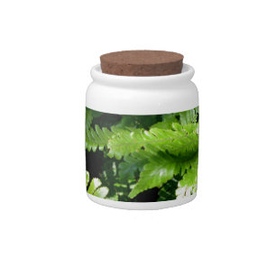 Spring Green Ferns tropical botanical greenery Candy Jar
