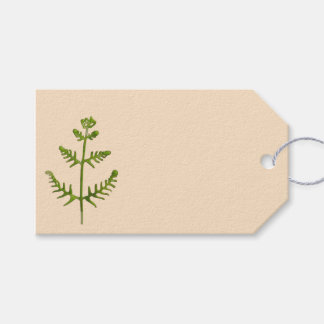 spring green gift tags