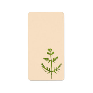 spring green label