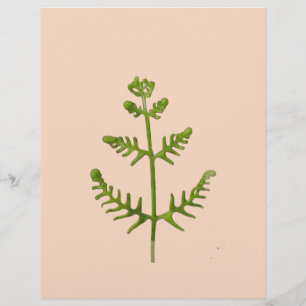 spring green letterhead