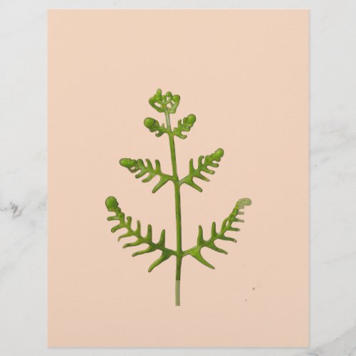 spring green  letterhead