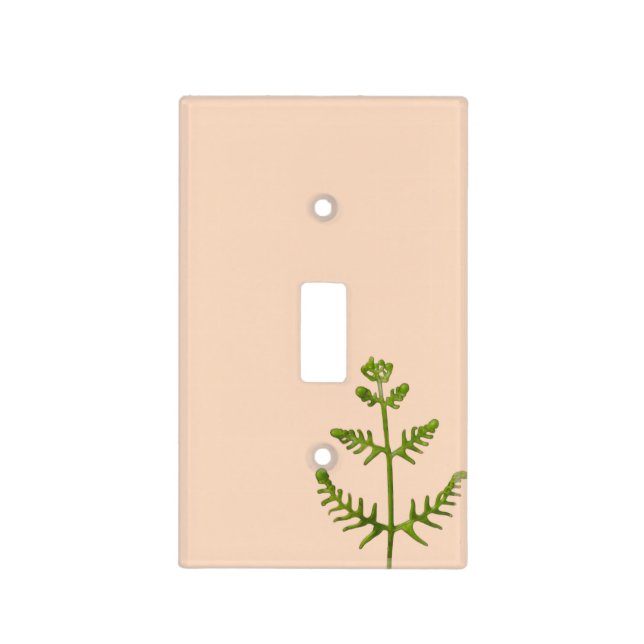 spring green  light switch cover (Front)