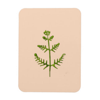 spring green magnet