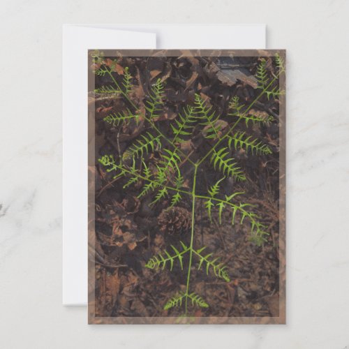 spring green  note card