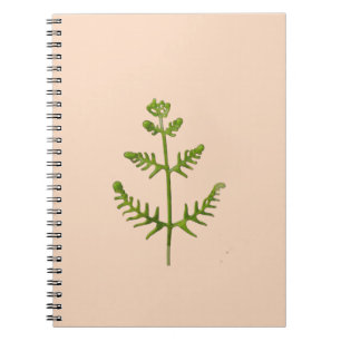 spring green notebook