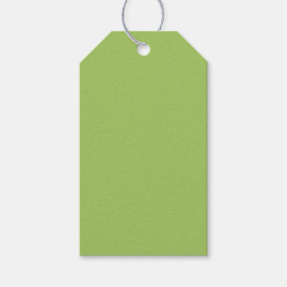 Spring Green, Plain Light Green, Solid Light Green Gift Tags