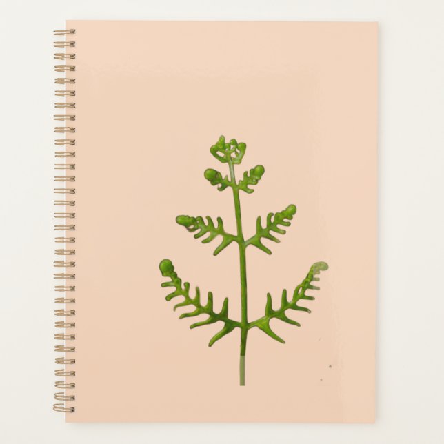 spring green  planner (Front)