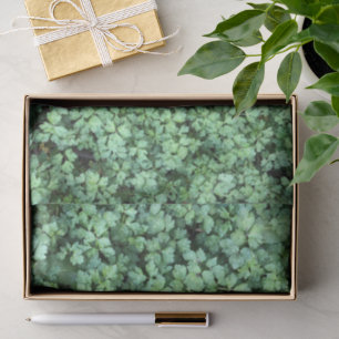 Spring Green Plants Leaves Peaceful Hanami Tissue Paper