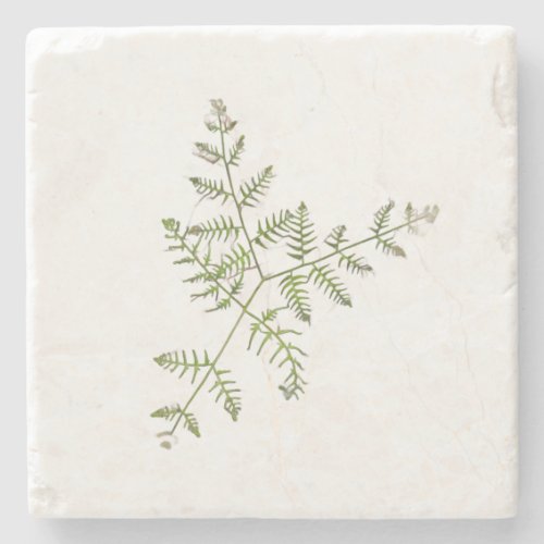 spring green  stone coaster