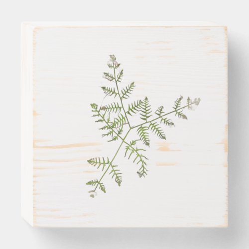spring green wooden box sign