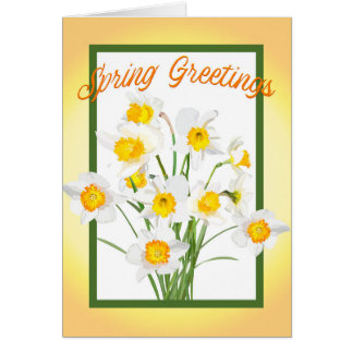Spring Greetings