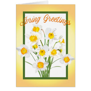 Spring Greetings Cards