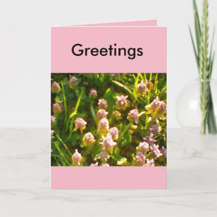 Spring Greetings Favorites Card