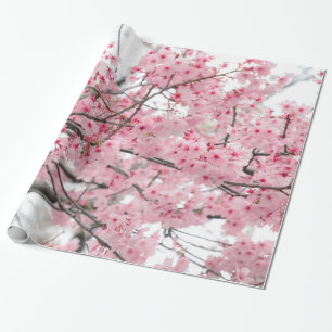 Spring Hanami Festival, Cherry Blossoms Wrapping Paper