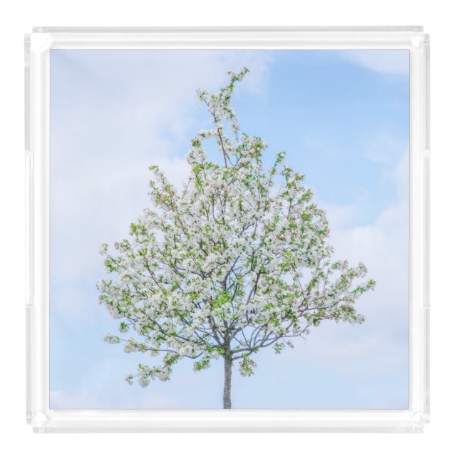 Spring - Happy Easter Acrylic Tray (Large)