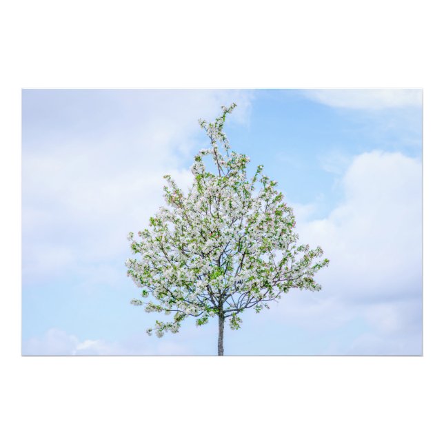 Spring - Happy Easter Photo Print (Front)