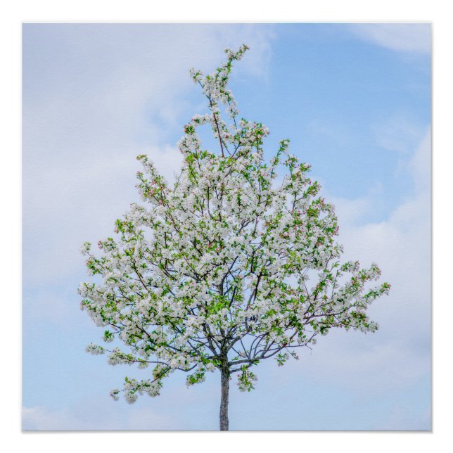 Spring - Happy Easter Poster (Front)