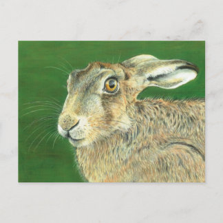 Spring Hare Postcard