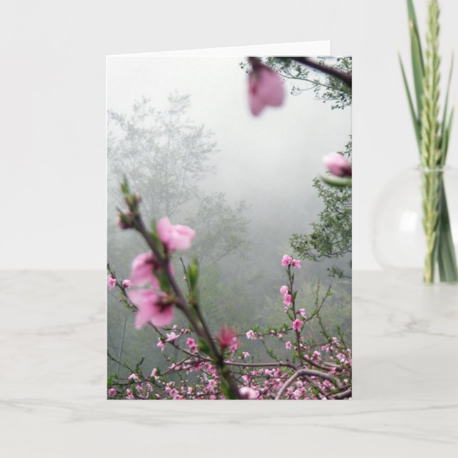 Spring Harmony/ Greetings Card (Front)