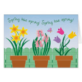 Spring has sprung! (Front Horizontal)