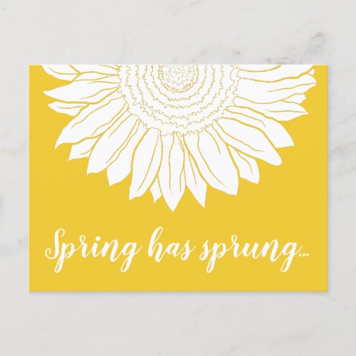 spring has sprung sunflower postcard