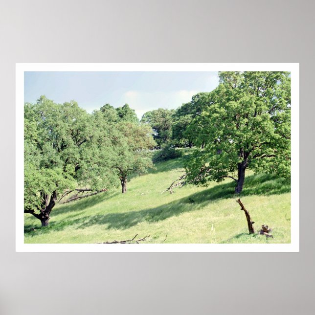 Spring Hillside, San Jose (poster) Poster (Front)