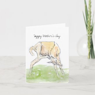 Spring Horse Foal Mother's Day Card