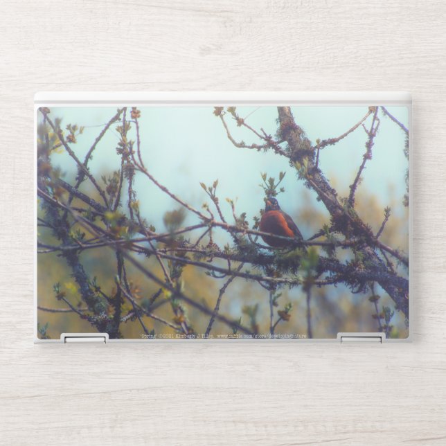 Spring HP Laptop Skin (Front)