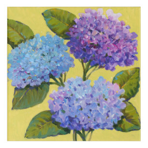 Spring Hydrangeas I Acrylic Print