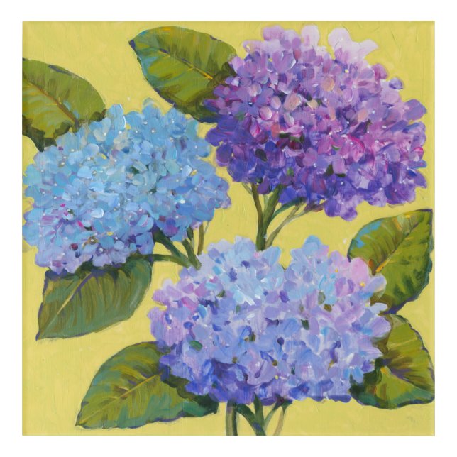 Spring Hydrangeas I Acrylic Print (Front)