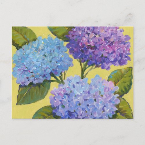 Spring Hydrangeas I Postcard